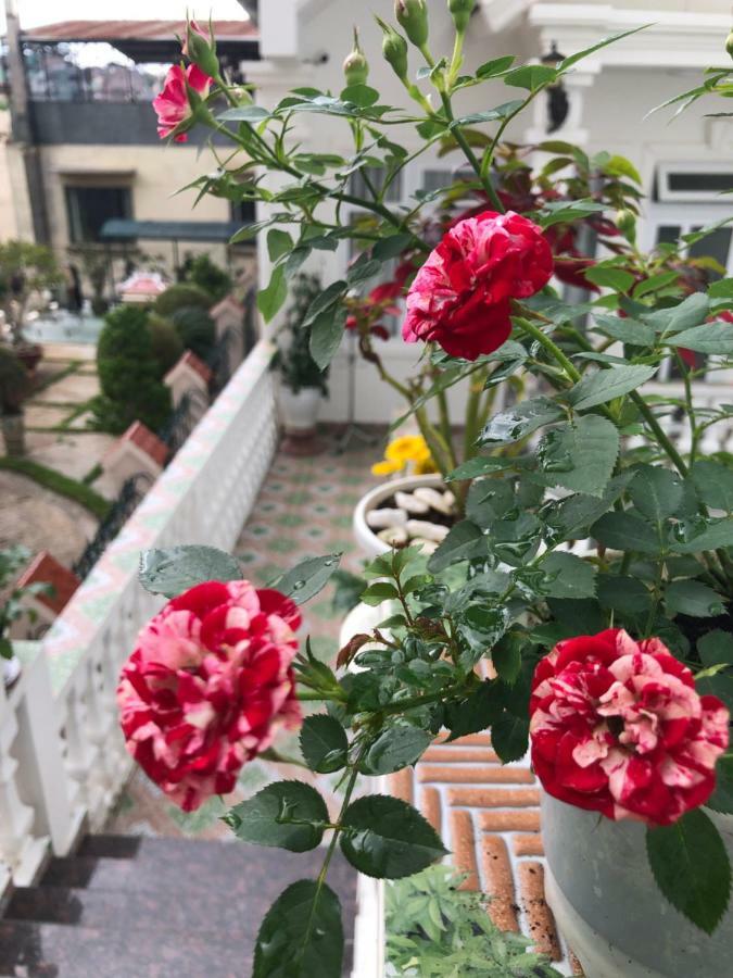 Villa - Hotel Nam Khang 2 Dalat Eksteriør bilde
