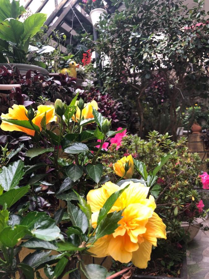 Villa - Hotel Nam Khang 2 Dalat Eksteriør bilde